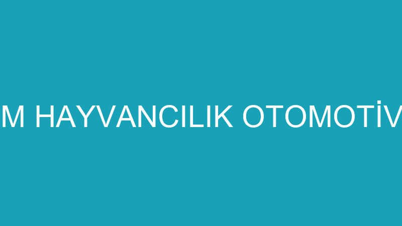 VİZYON AKVARYUM HAYVANCILIK OTOMOTİV SPOR SALONLAR - Green Turkey Öğrenci̇ Hi̇zmetleri̇ Ve Genel Ti̇caret L -  