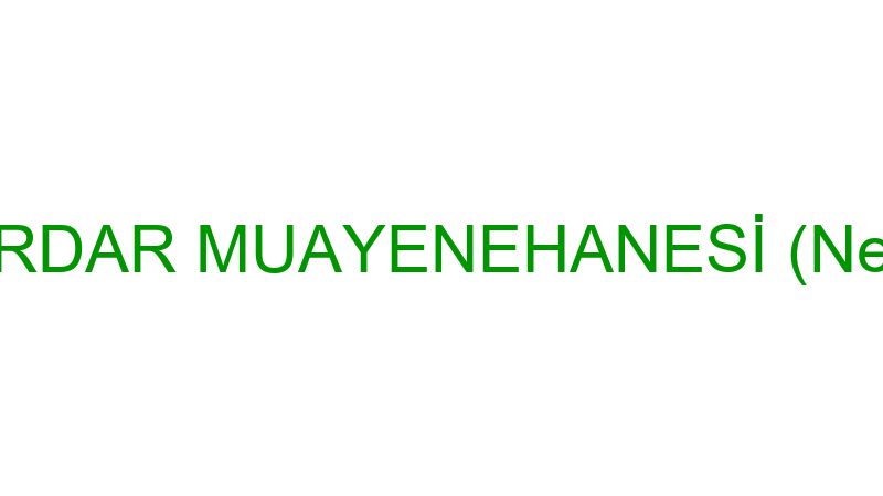 Neşri̇ Serdar Muayenehanesi̇ (Neşri̇ Serdar)