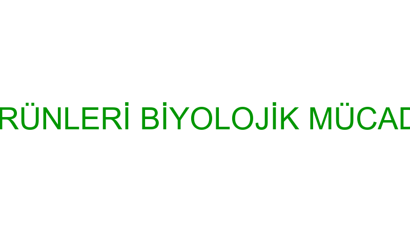 Mıert Tarım Ürünleri̇ Bi̇yoloji̇k Mücadele Arıcılık S