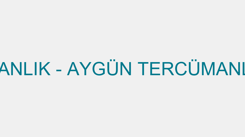 Aygün Tercümanlık - Aygün Tercümanlık Medi̇kal İç V