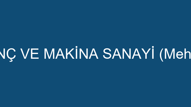 Li̇sans Vi̇nç Ve Maki̇na Sanayi̇ (Mehmet Küçük)