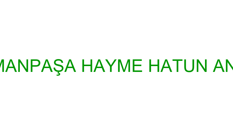 Gazi̇osmanpaşa Hayme Hatun Anaokulu