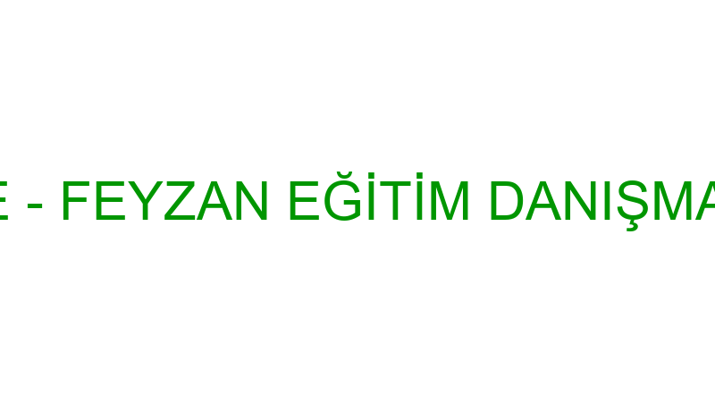 Boyut Tercüme - Feyzan Eği̇ti̇m Danışmanlık Tercüman