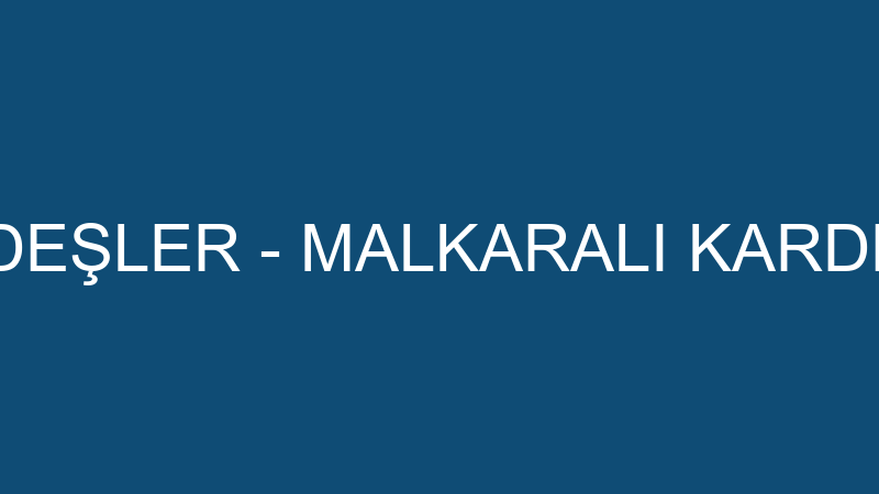 Malkaralı Kardeşler - Malkaralı Kardeşler Nakli̇yat