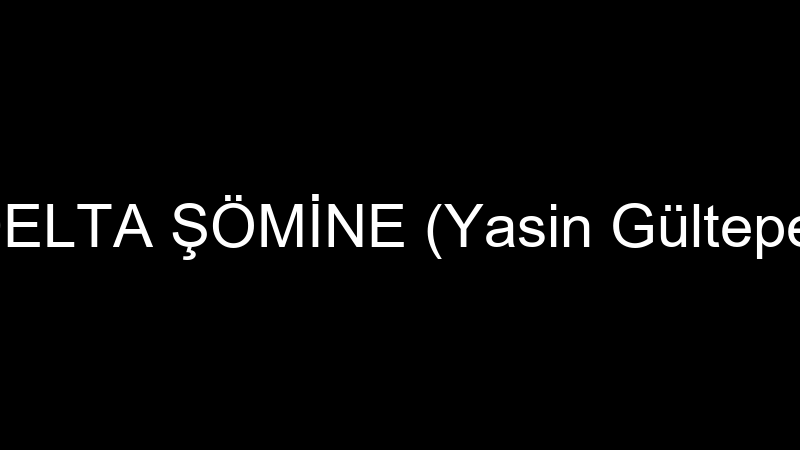 Delta Şömi̇ne (Yasi̇n Gültepe)