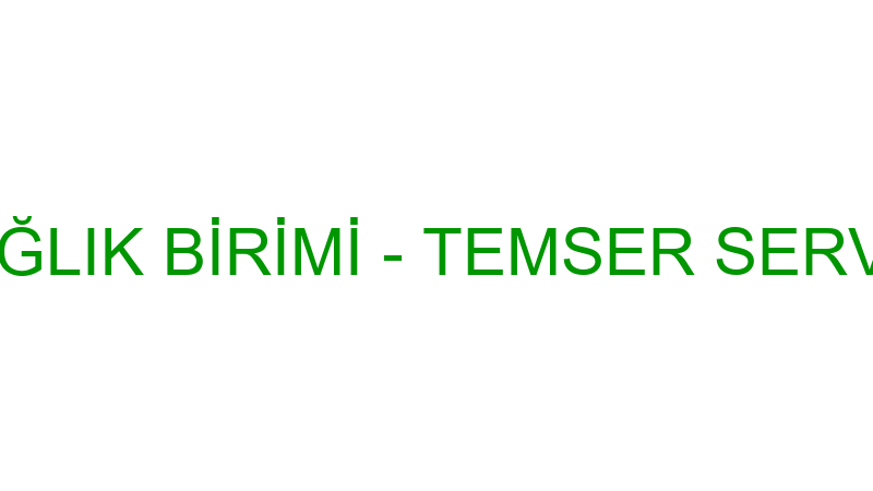 Wellpoınt Sağlık Bi̇ri̇mi̇ - Temser Servi̇s Hi̇zmetleri̇
