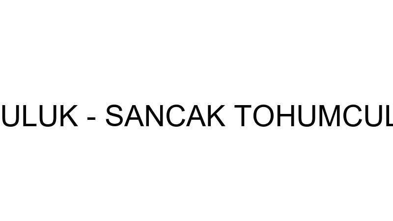 Sancak Tohumculuk - Sancak Tohumculuk Gıda Tarım H
