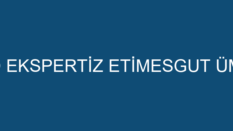 Otorapor Oto Eksperti̇z Eti̇mesgut Ümi̇tköy Şubesi̇ -