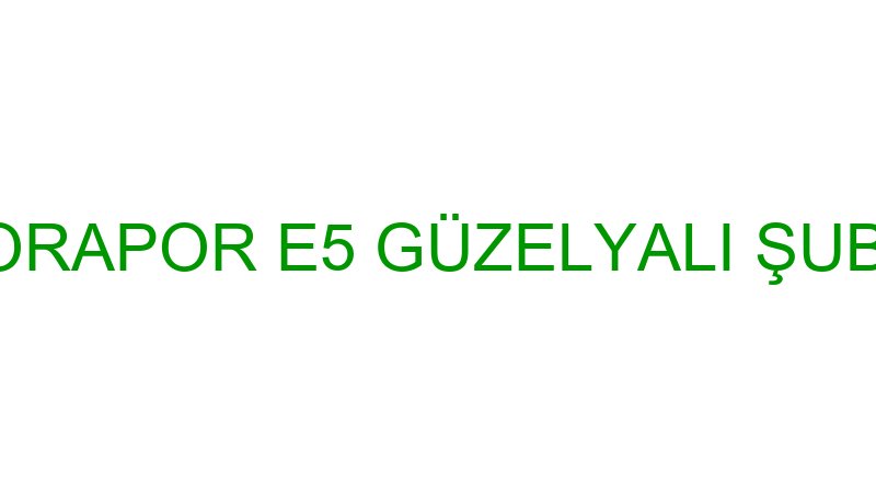 Otorapor E5 Güzelyalı Şubesi̇