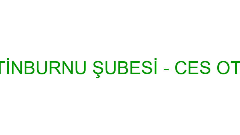 Otorapor Zeyti̇nburnu Şubesi̇ - Ces Otomoti̇v San. Ve
