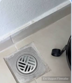 Evde gümüş böceği cıkıyor ilaclama istiyoruz